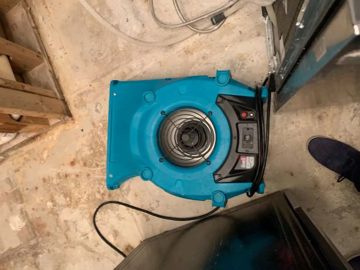 Air mover drying equipment for Mold Remediation & Removal in Woburn